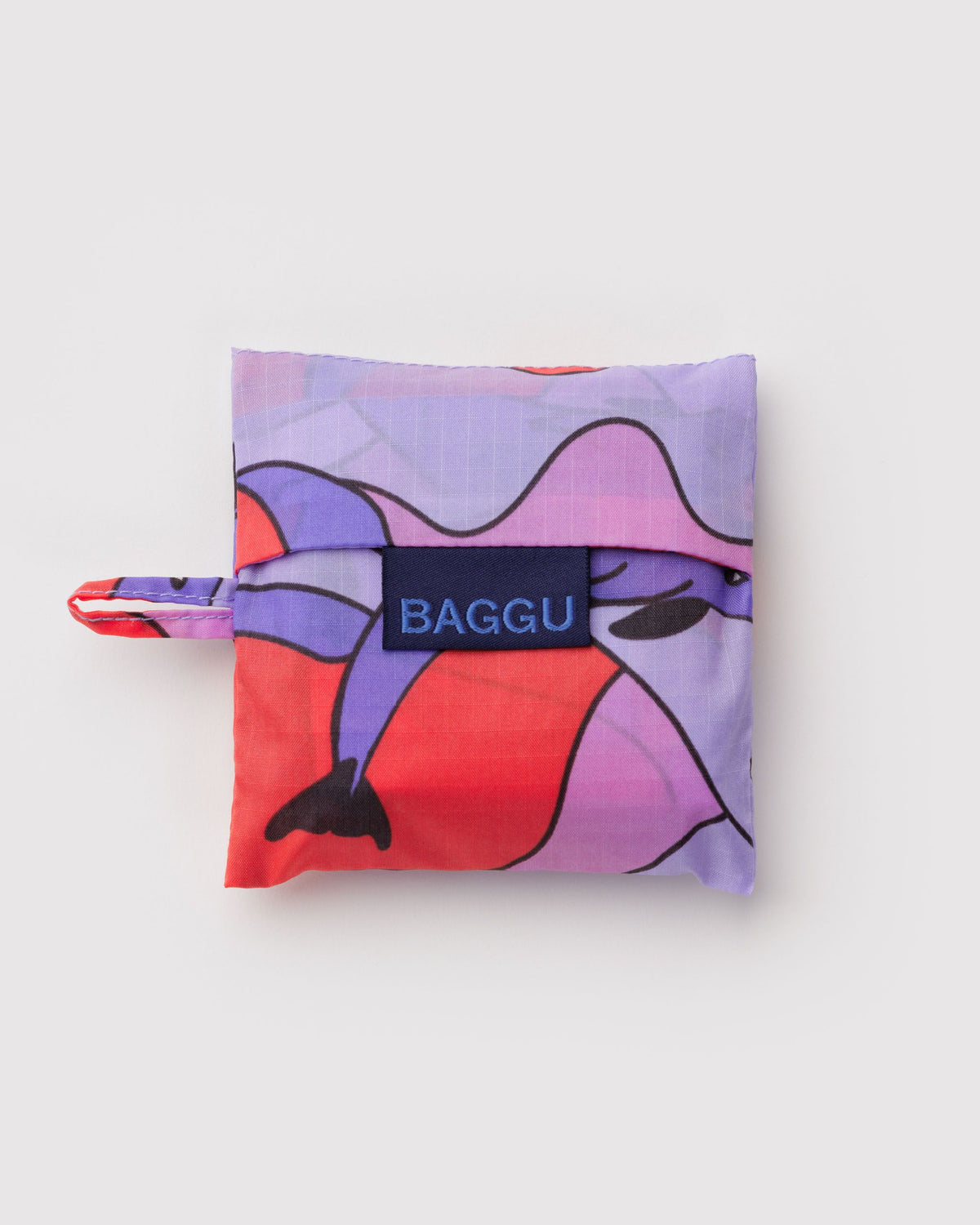 BABY BAGGU