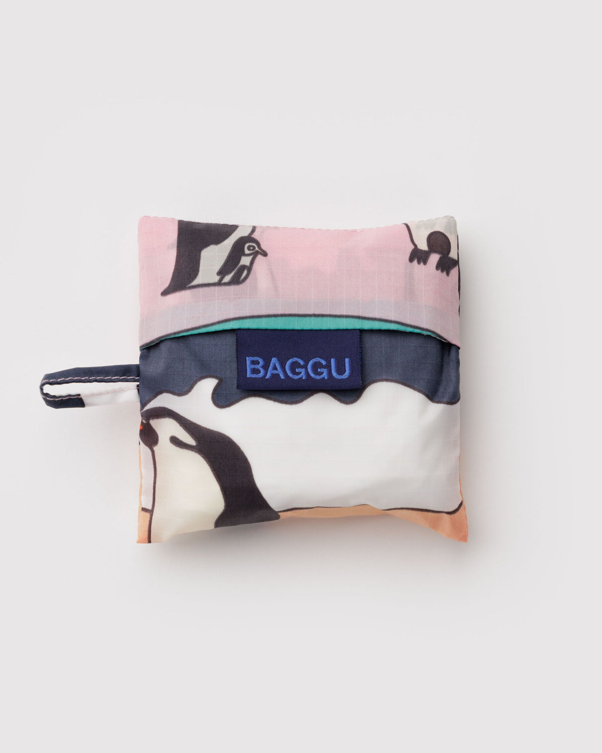 BABY BAGGU