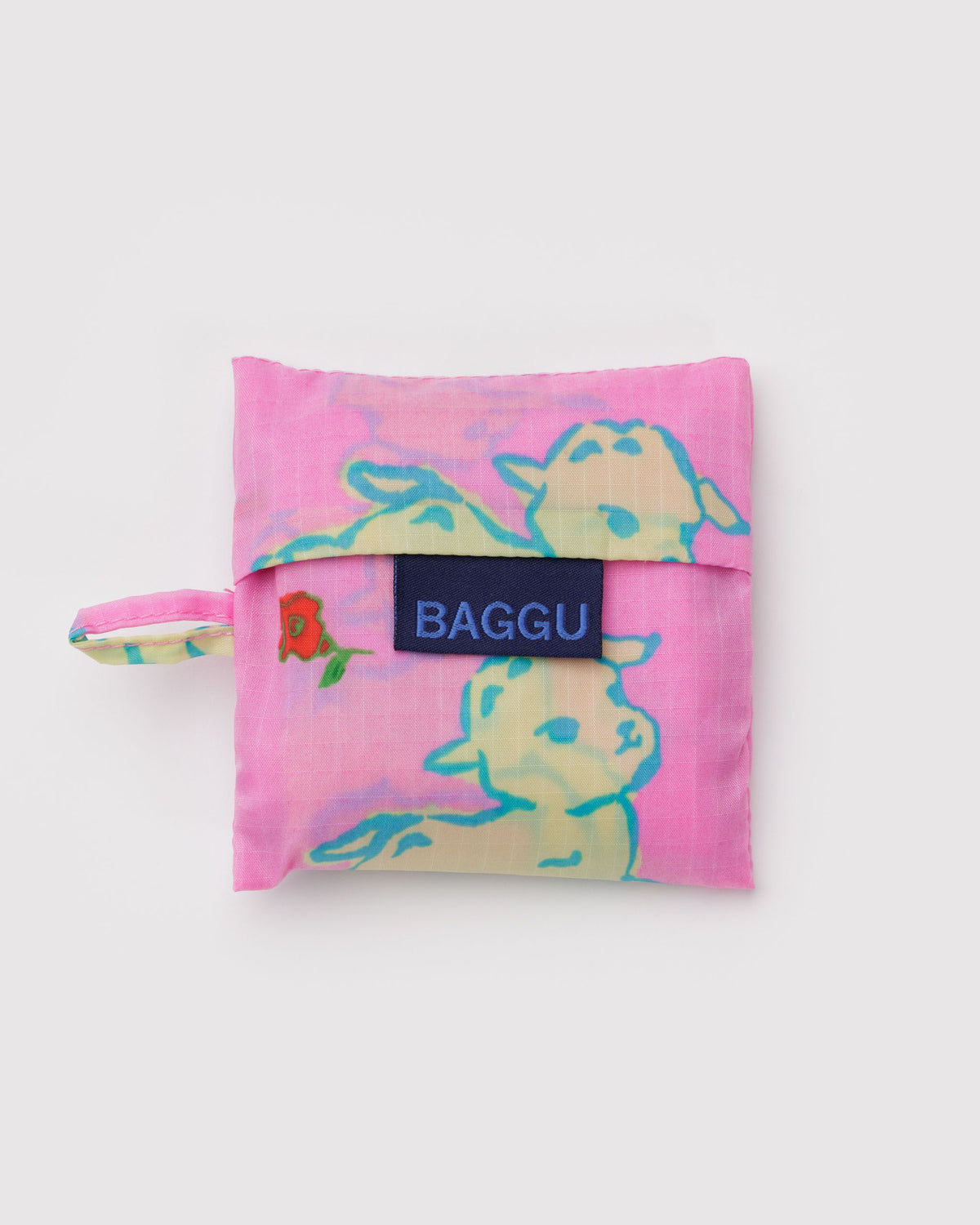BABY BAGGU